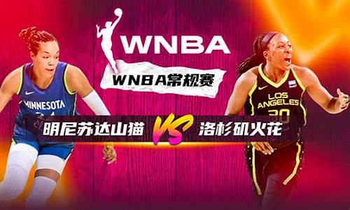 wnba洛杉矶火花队_洛杉矶花火对阵天猫队